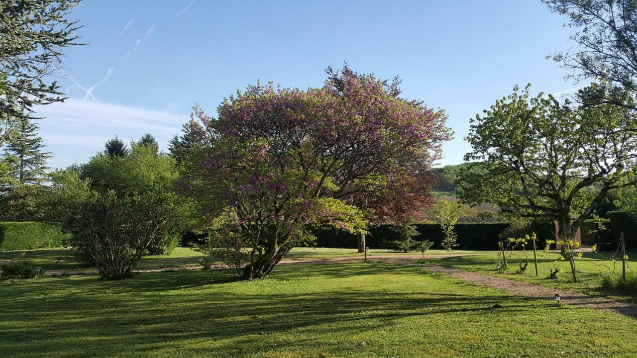 B&B Des Histoires D'Anges - Cote Jardin - Accueil Velo Tournus Exterior foto